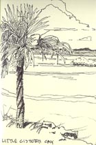 © Canizaro Art 2003