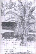 © Canizaro Art 2003