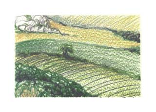 © Canizaro Art 2003