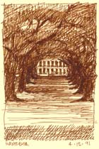 Canizaro Pencil Drawing, 12s09