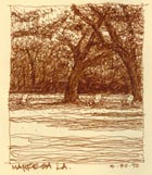 Canizaro Pencil Drawing