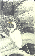 © Canizaro Art 2003