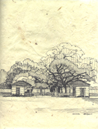 © Canizaro Art 2003