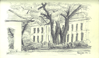 © Canizaro Art 2003