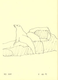 © Canizaro Art 2003