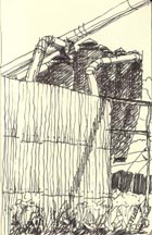 Canizaro Pencil Drawing