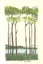 © Canizaro Art 2003