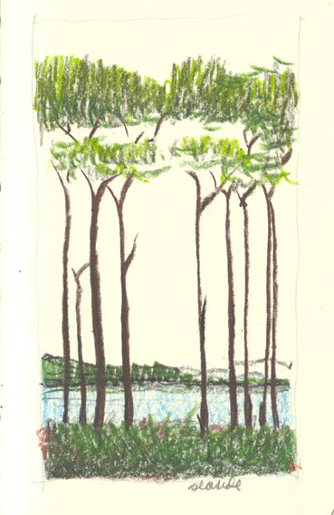 Canizaro Pastel Drawing